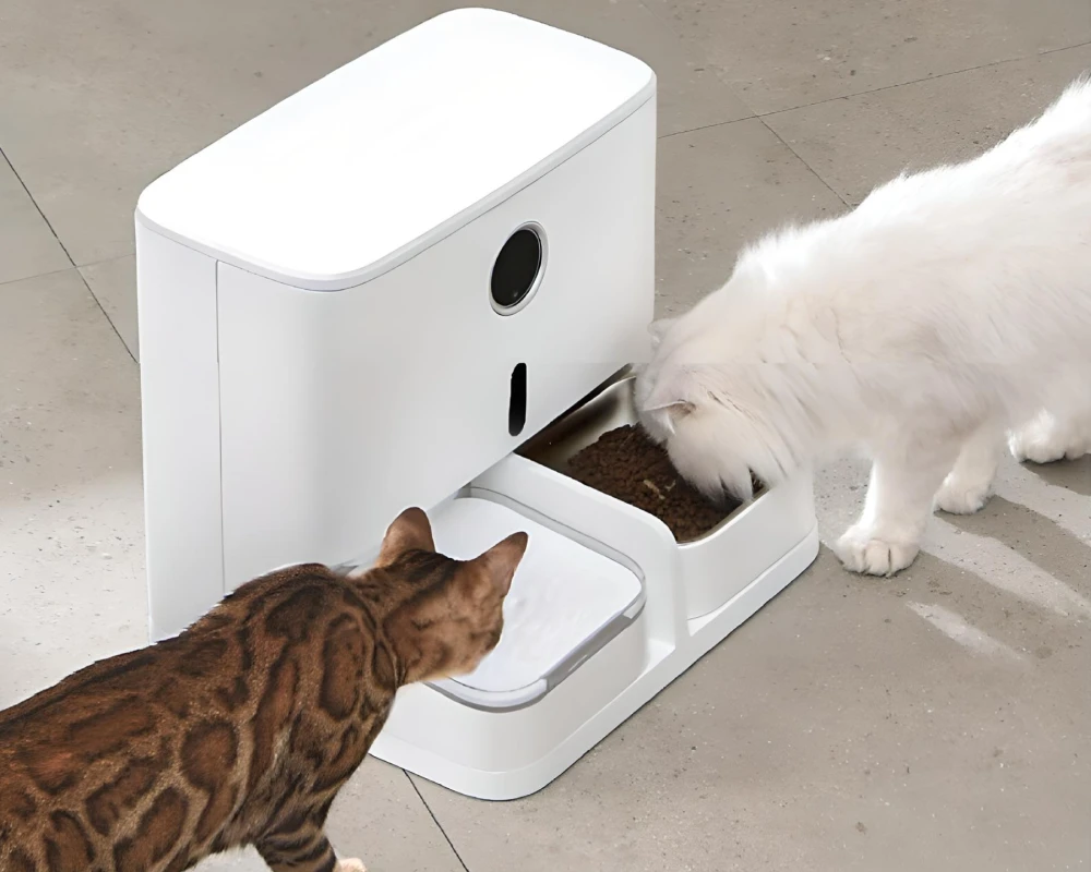 pet food dispenser