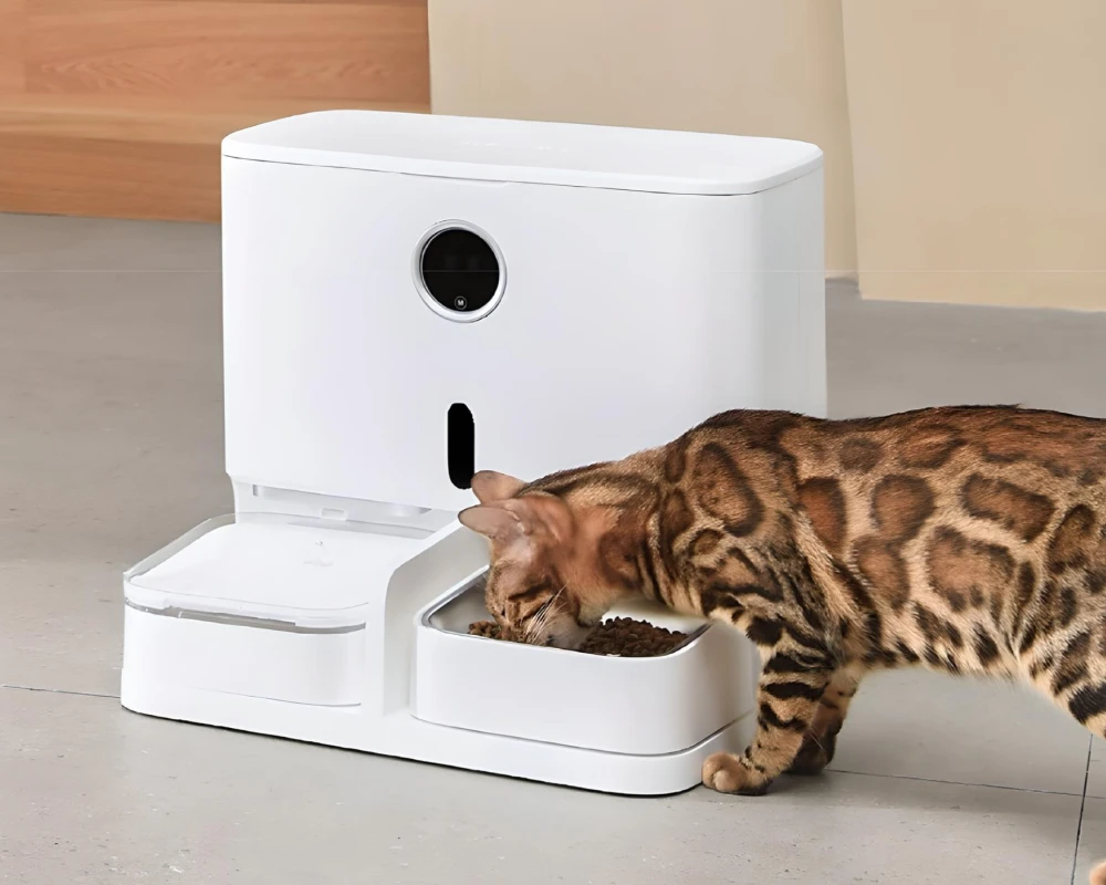 pet water and food dispenser