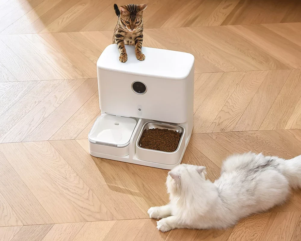 automatic pet feeder and waterer