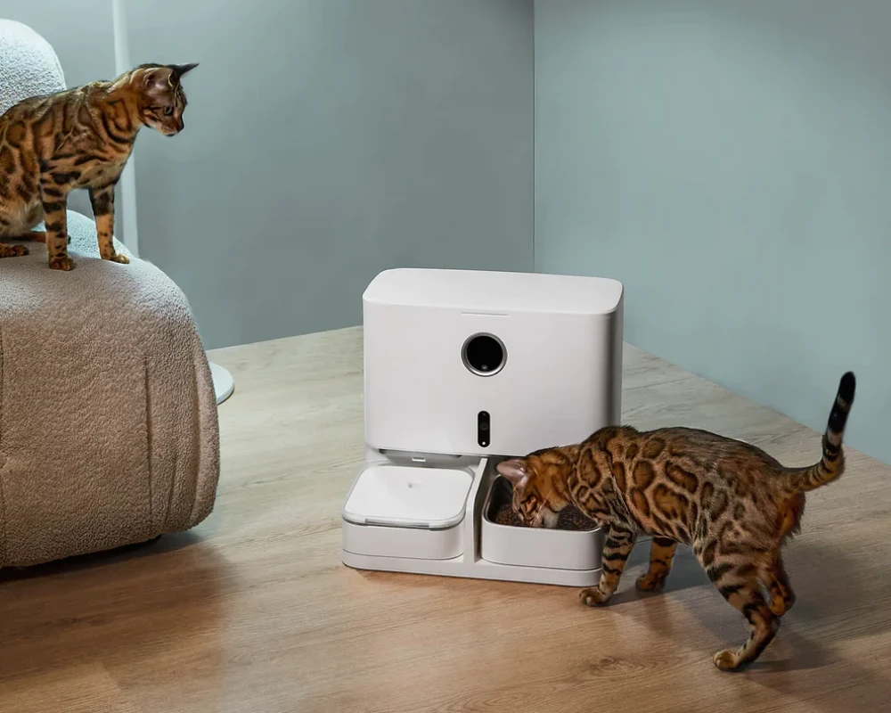 cat feeder with camera