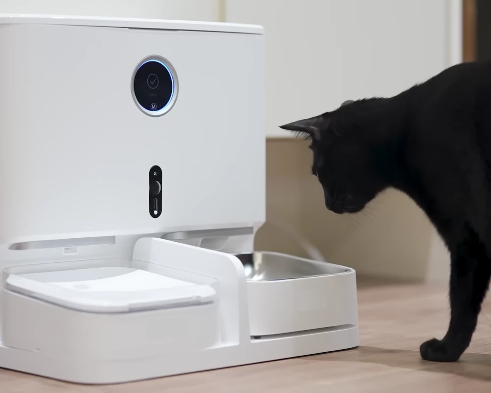 animal planet automatic pet feeder